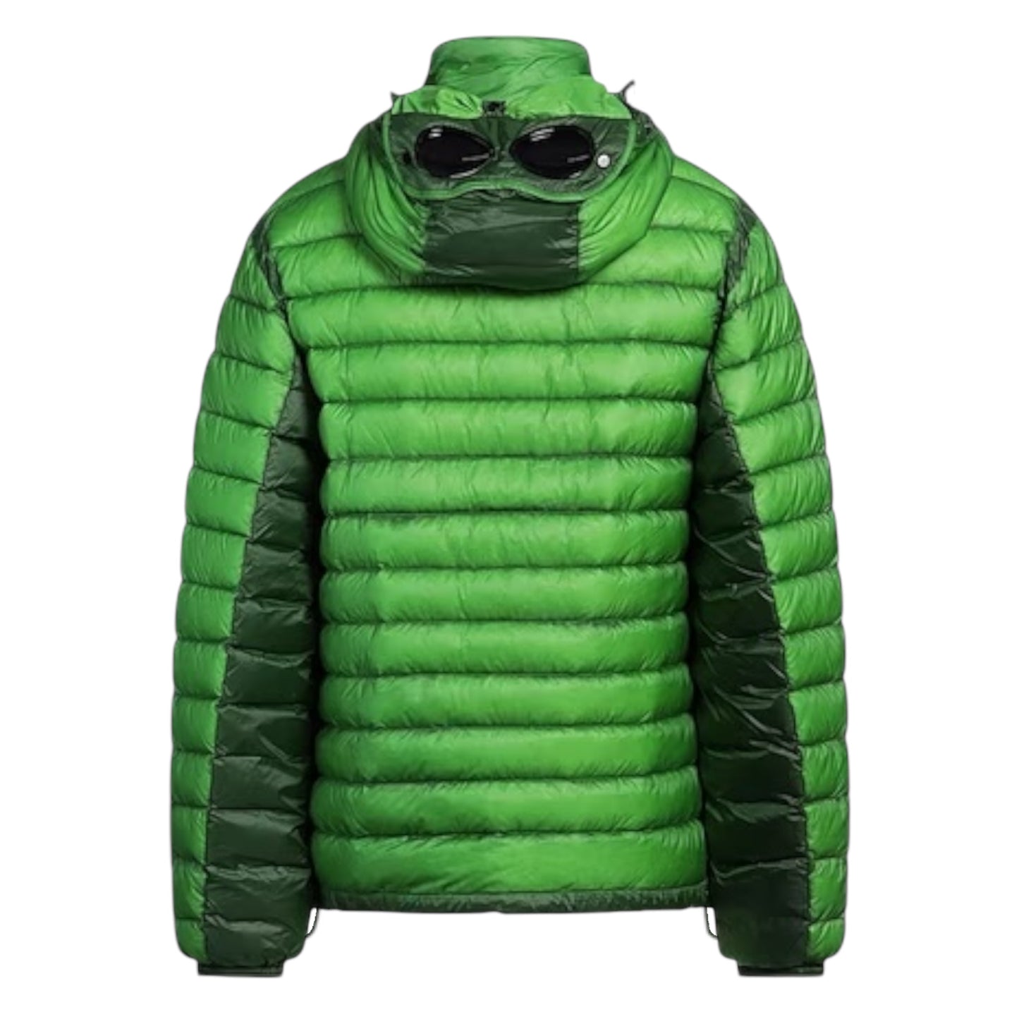 D.D. Shell Goggle Down Jacket